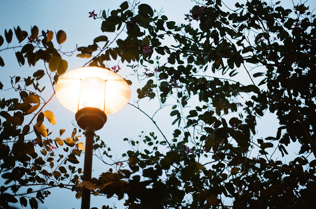 lampadaire-eclairage-exterieur-ciel-feuilles