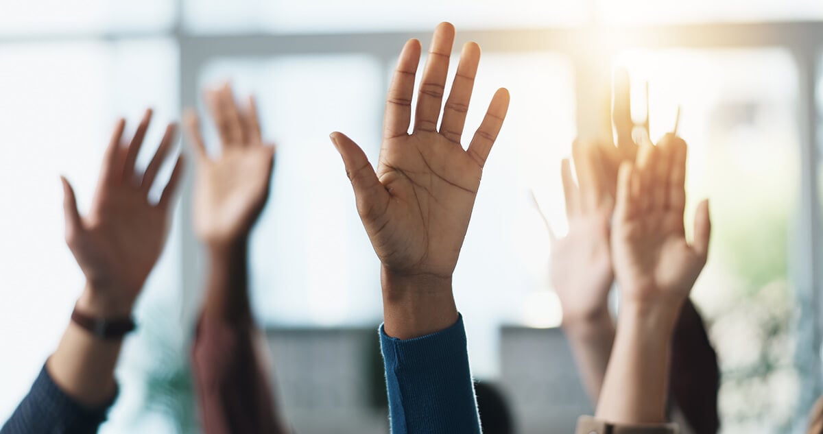 Article 24 : tout savoir sur la majorité simple en ...